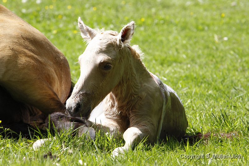 Hjoerdis 7 Min alt (6).JPG